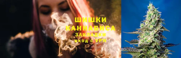 хмурый Касимов