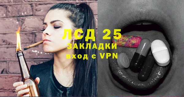дживик Карпинск