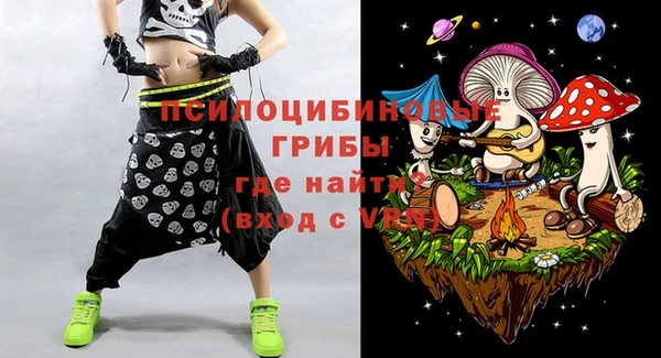 дживик Карпинск