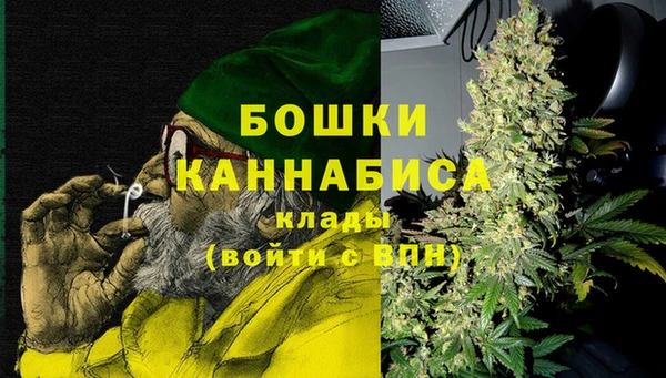 хмурый Касимов