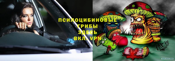 хмурый Касимов