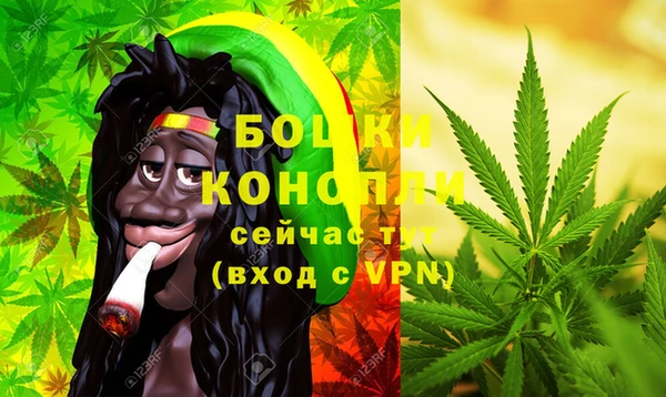 дживик Карпинск