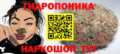 прущие крисы Свободный