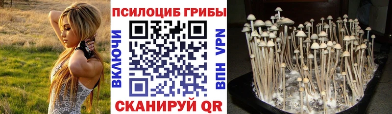 Псилоцибиновые грибы мухоморы  Краснокамск 