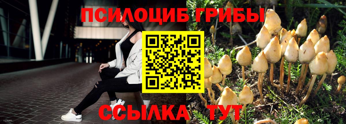 Псилоцибиновые грибы Magic Shrooms  Вход с VPN  Краснокамск  Псилоцибиновые грибы ЛСД 